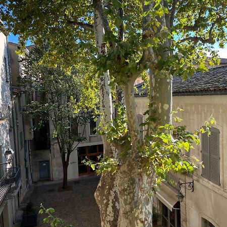 La Charmante Du Palais 2 Chambres Avignon Exterior foto